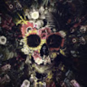 Meet your Posher, Cassie